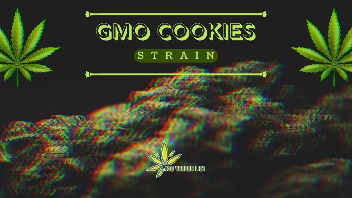 GMO Cookie Strain