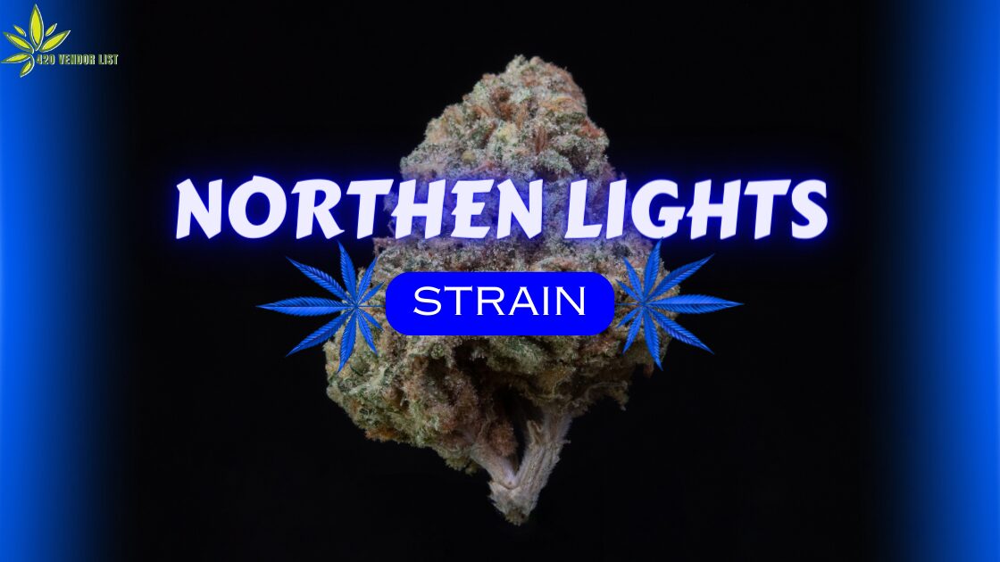 Northern Lights Strain: A Woody Delight [Ultimate Strain Review]