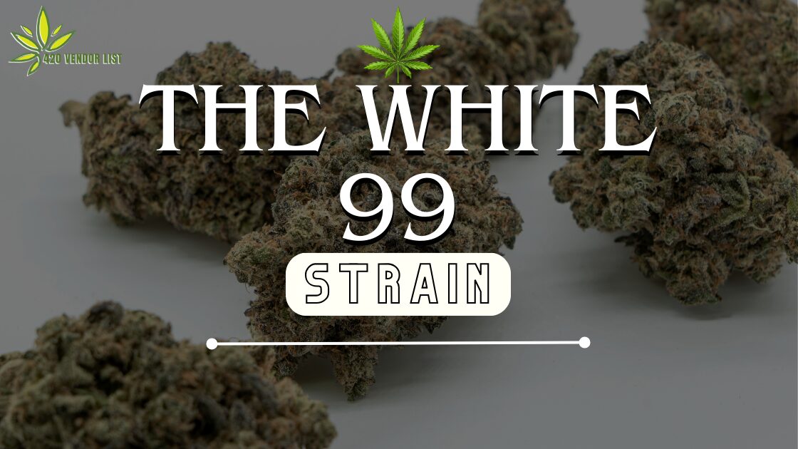 What Is the White 99 Strain and How Should You Use It?