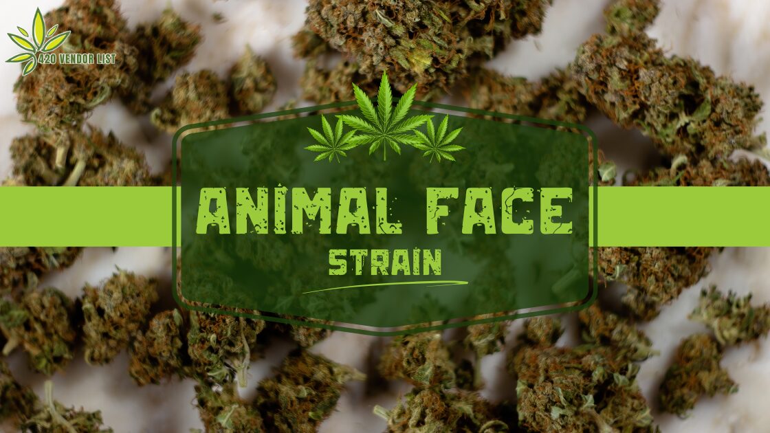 Animal Face Strain