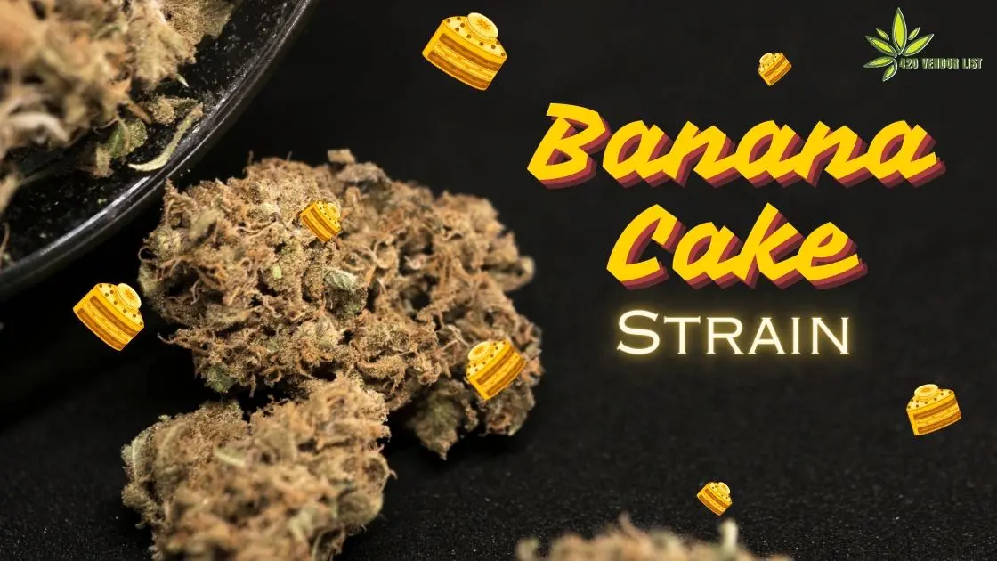 Girl Scout Cookies Strain
