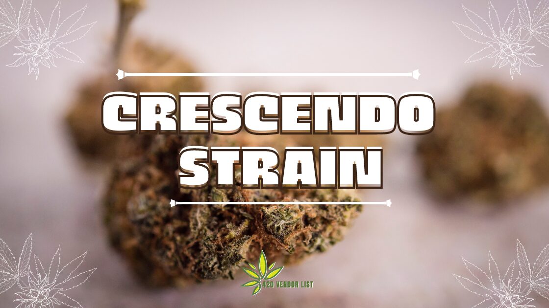 The Crescendo Strain: Ignite Your Senses with this Captivating Cannabis Symphony