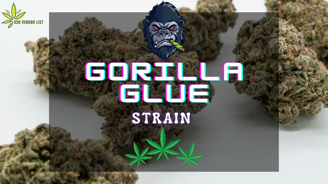 Gorilla Glue Strain: Prepare to Get Stuck [Ultimate Strain Review]