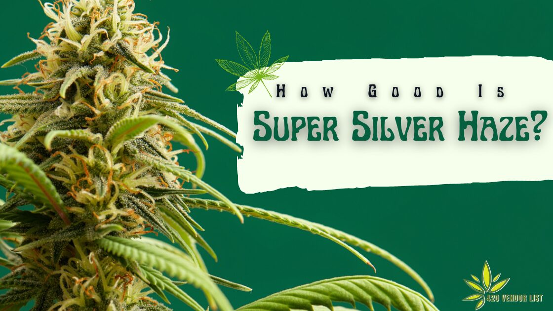 How Good Is Super Silver Haze?