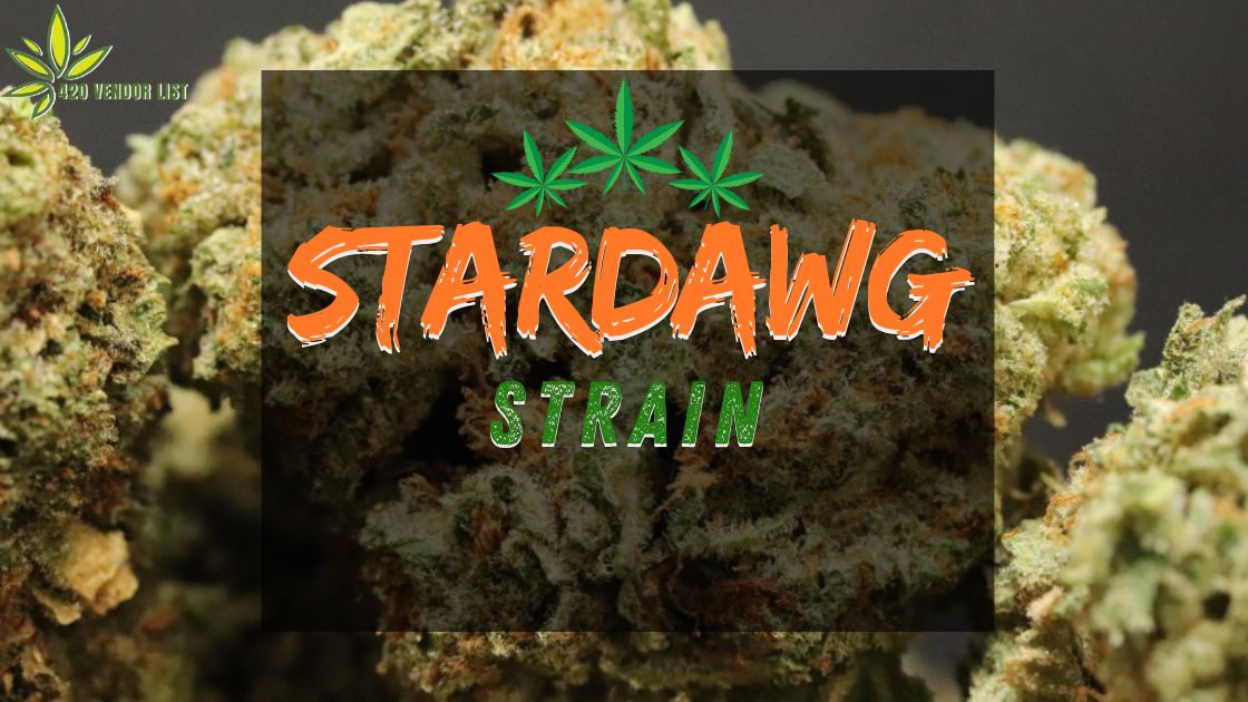Read This Before You Try the Stardawg Strain