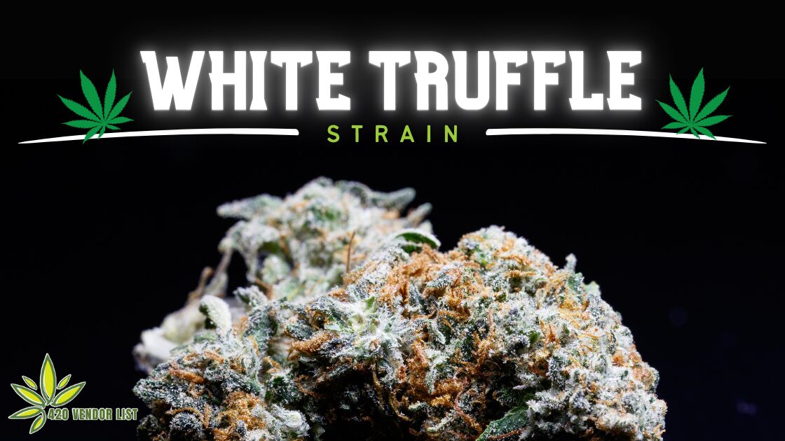 White Truffle Strain