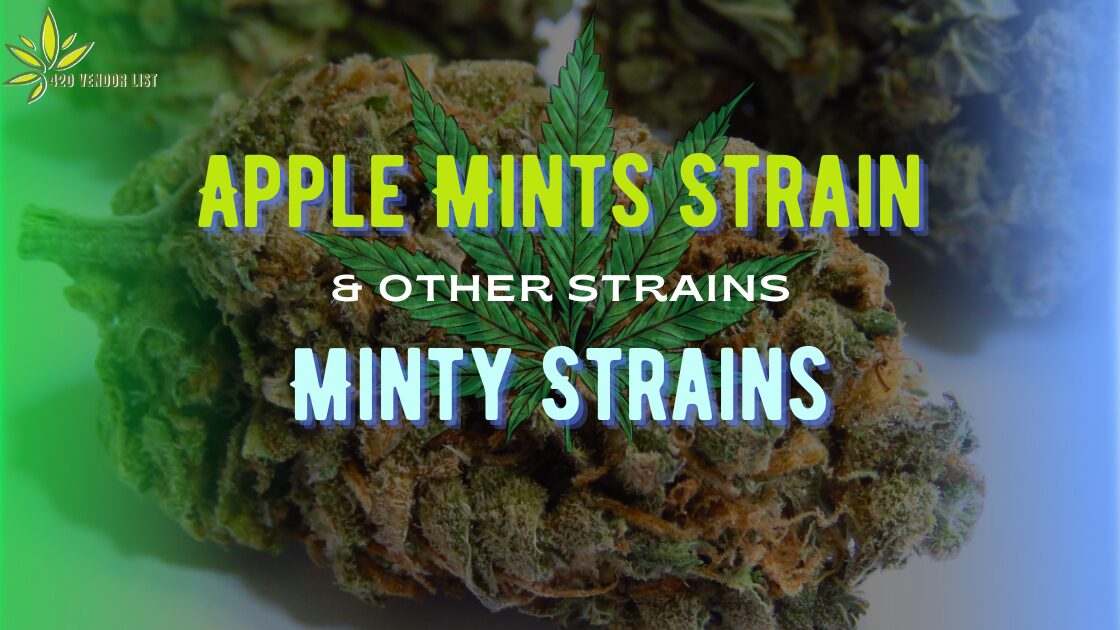 Apple Mints Strain & Other Strains Minty Strains