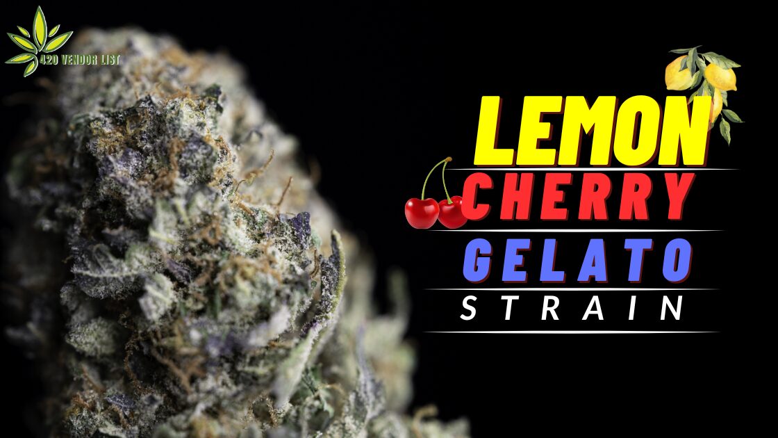 A Relaxing Night With the Lemon Cherry Gelato Strain
