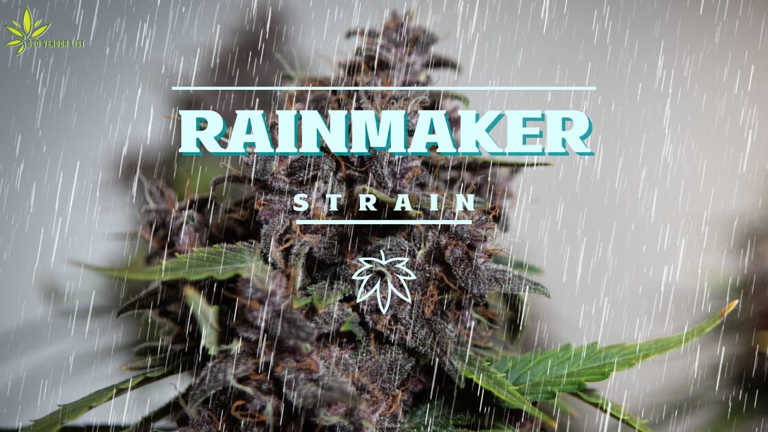 Read This Before You Try The Rainmaker Strain