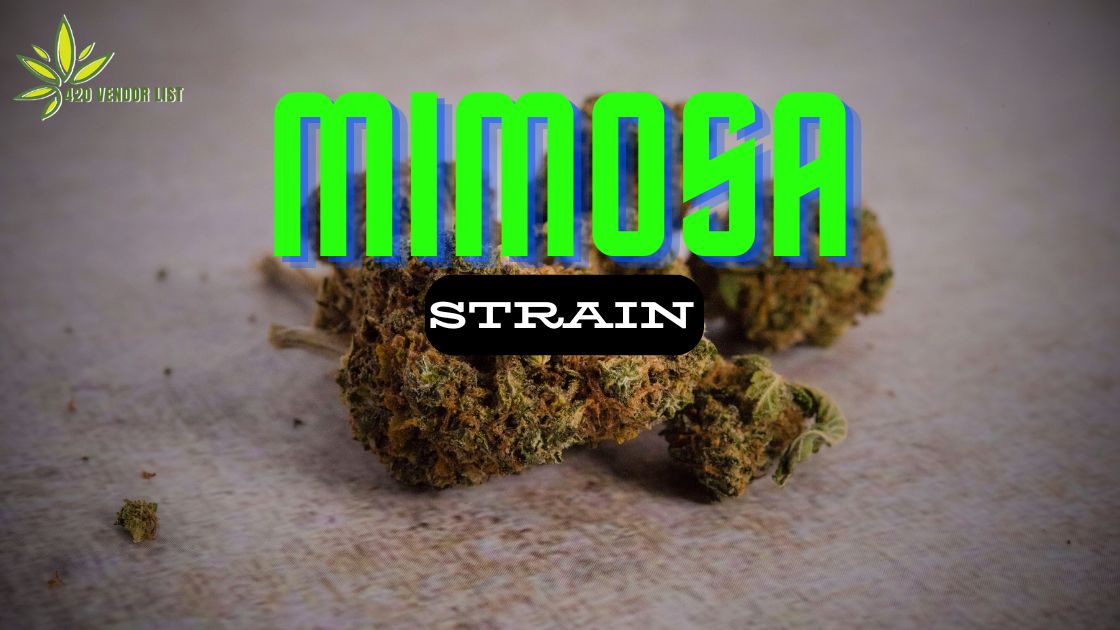 Mimosa Strain