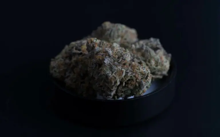 Black Runtz Strain