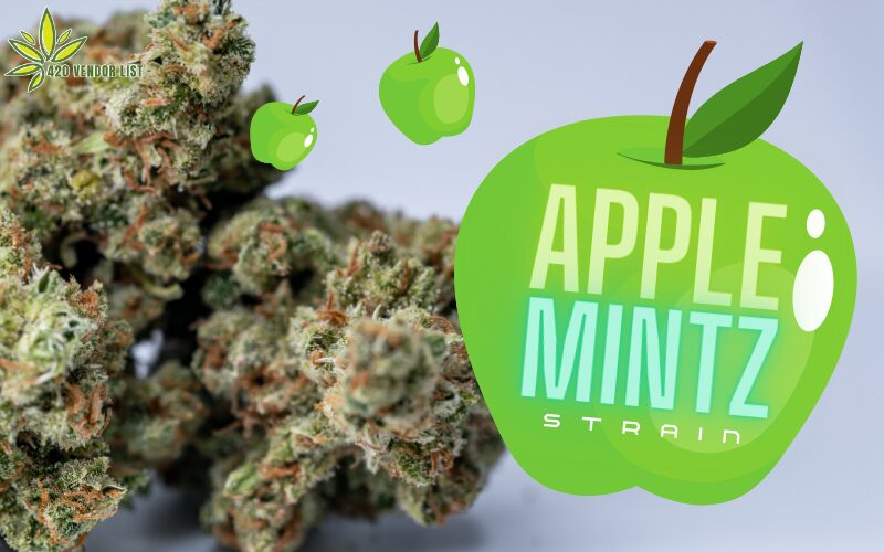 Apple Mintz Strain