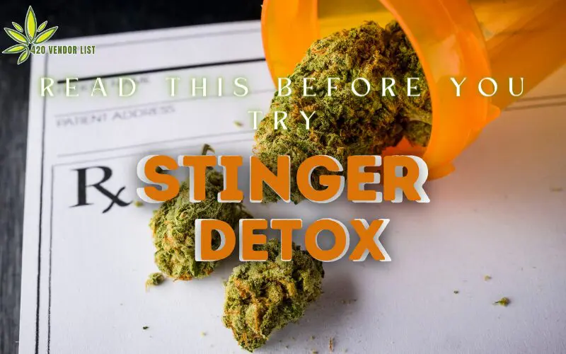 Read This Before You Try Stinger Detox!