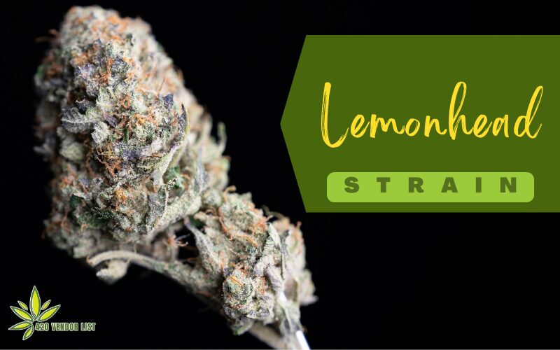 Read This Before You Try The Lemonhead Strain