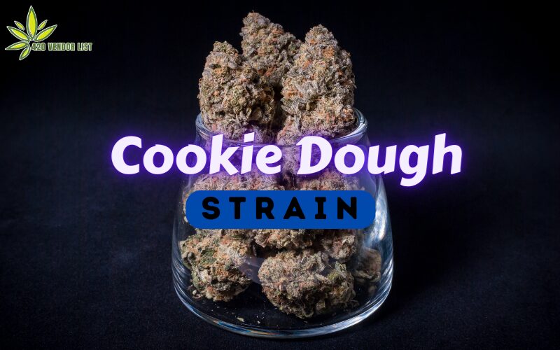 All About the Cookie Dough Strain [Ultimate Strain Review]