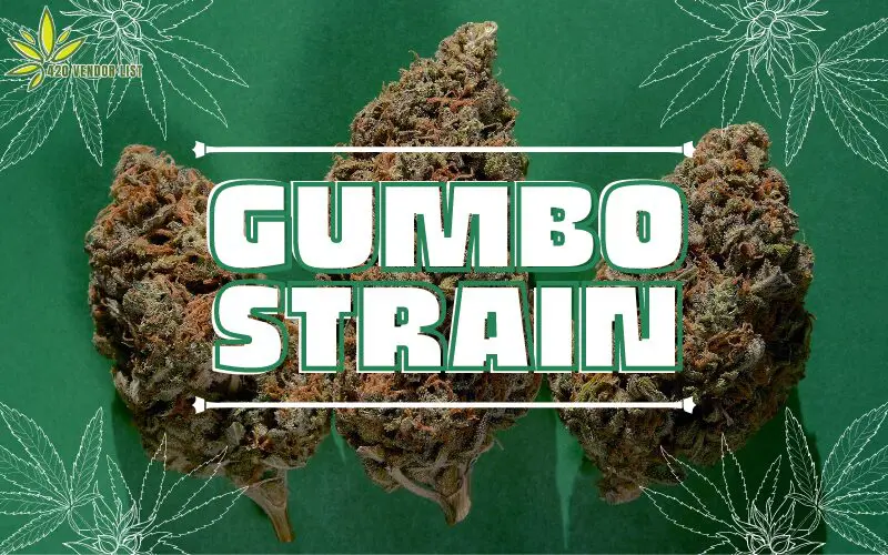 Gumbo Strain