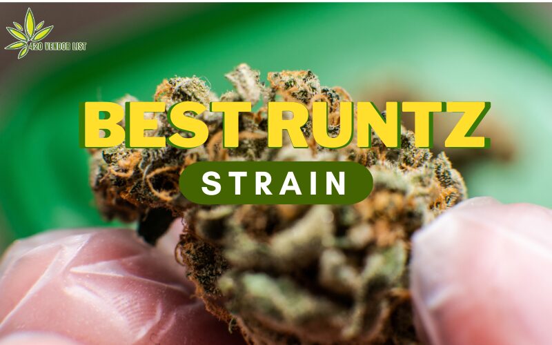 Best Runtz Strain