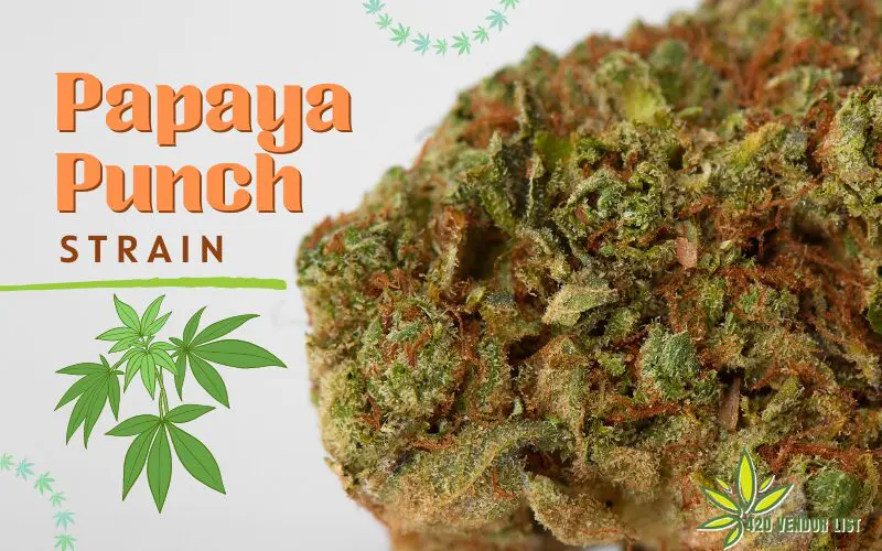 Papaya Punch Strain