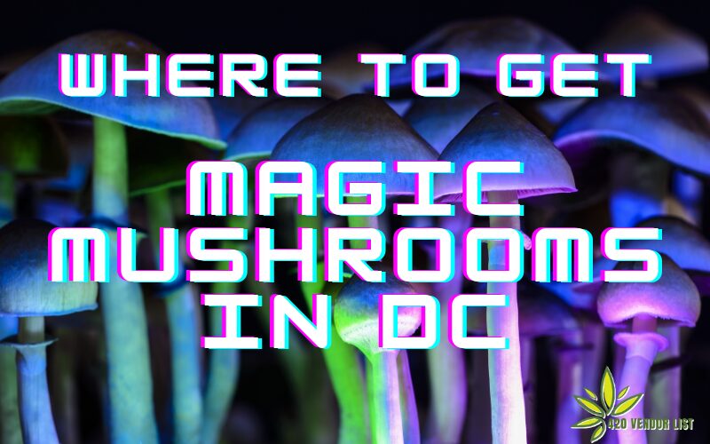 Are Magic Mushrooms Legal in DC?