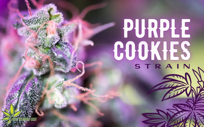 Purple Cookies Strain