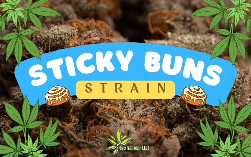 Sticky Buns Strain