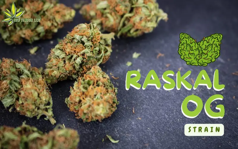 Raskal OG Strain