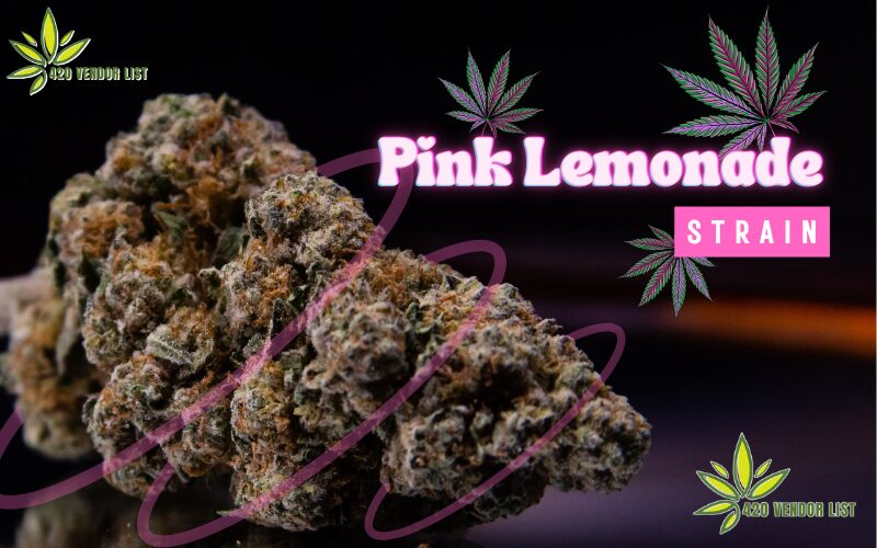 Pink Lemonade Strain