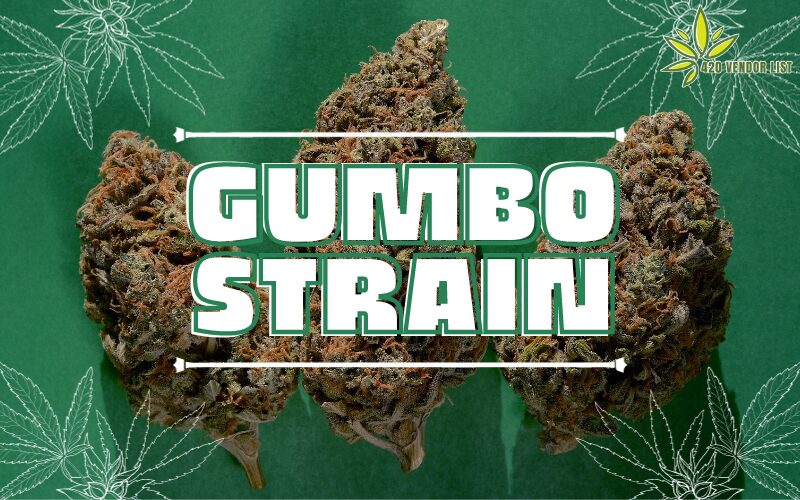 Gumbo Strain