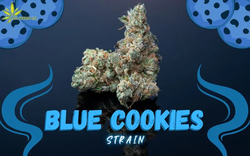 Yellow Fruit Stripe Strain: Is It Worth The Hype