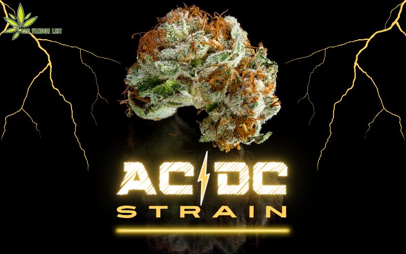 ACDC Strain