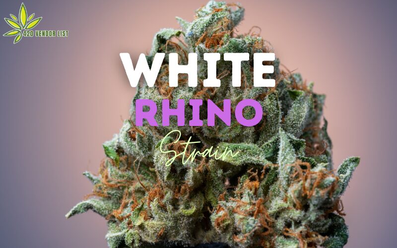 White Rhino Strain