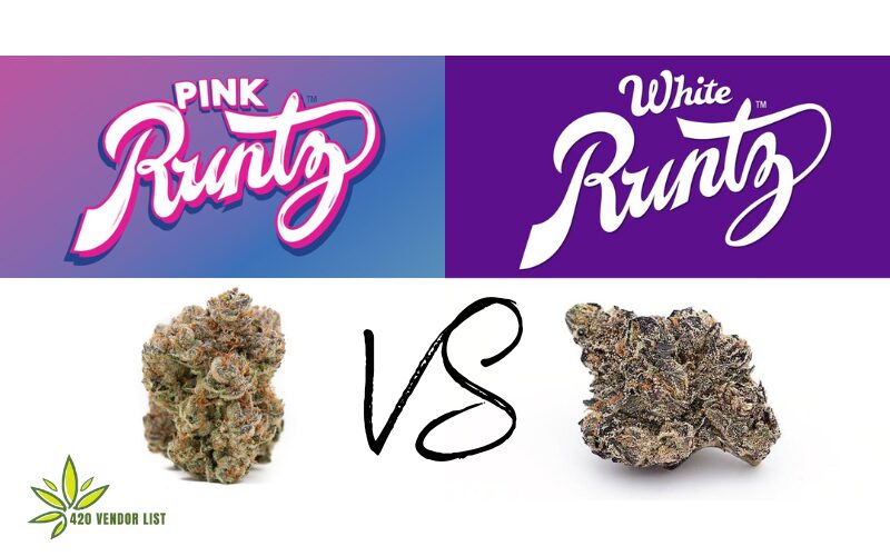 Is White Runtz better Than Pink Runtz?