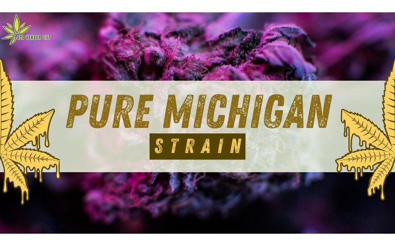 Pure Michigan Strain