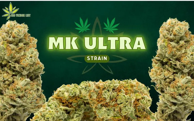 MK Ultra Strain