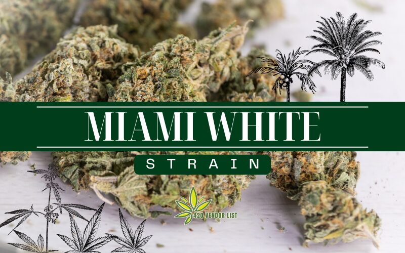 Miami White Strain