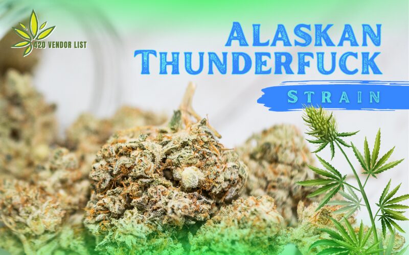 Alaskan Thunderfuck Strain: A Potent High From the Last Frontier