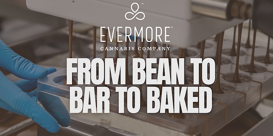 From bean to bar to baked! By The Living Room