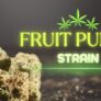 what-is-the-fruit-punch-strain-complete-weed-information