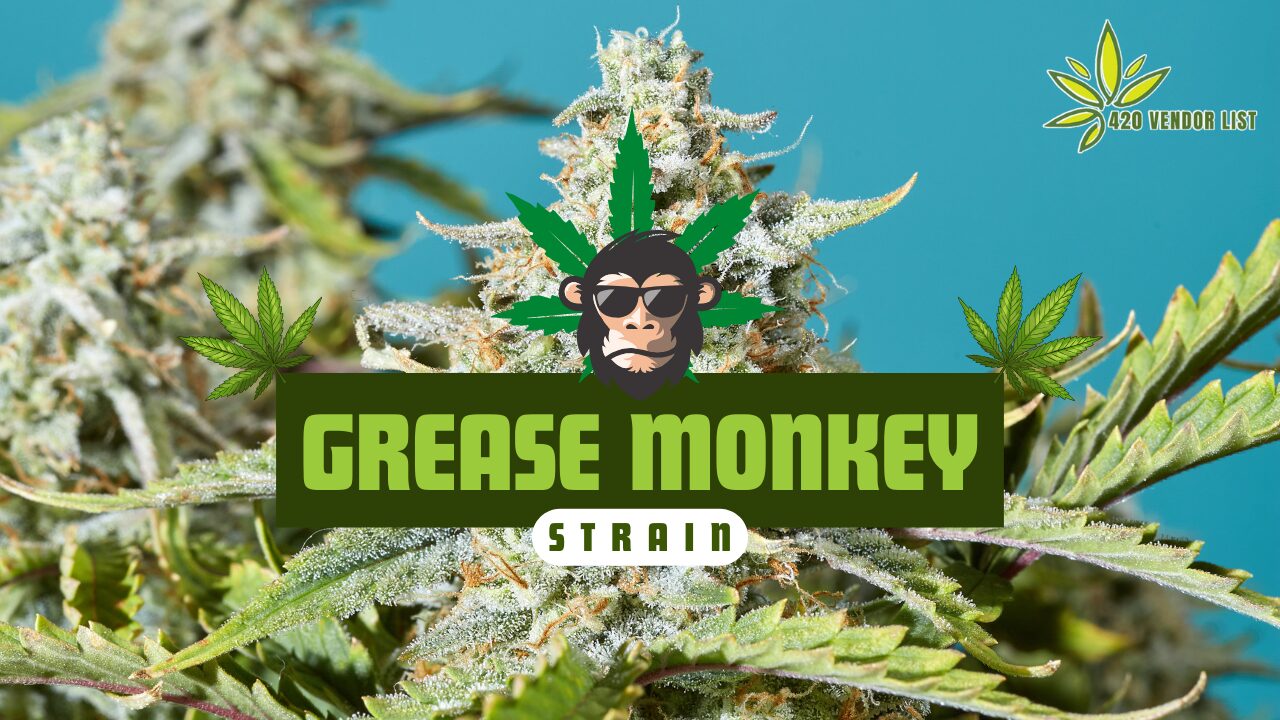 Grease Monkey Strain Perfect For Stress Relief