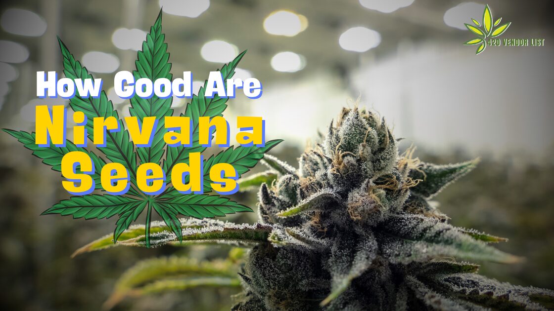How Good Are Nirvana Seeds?