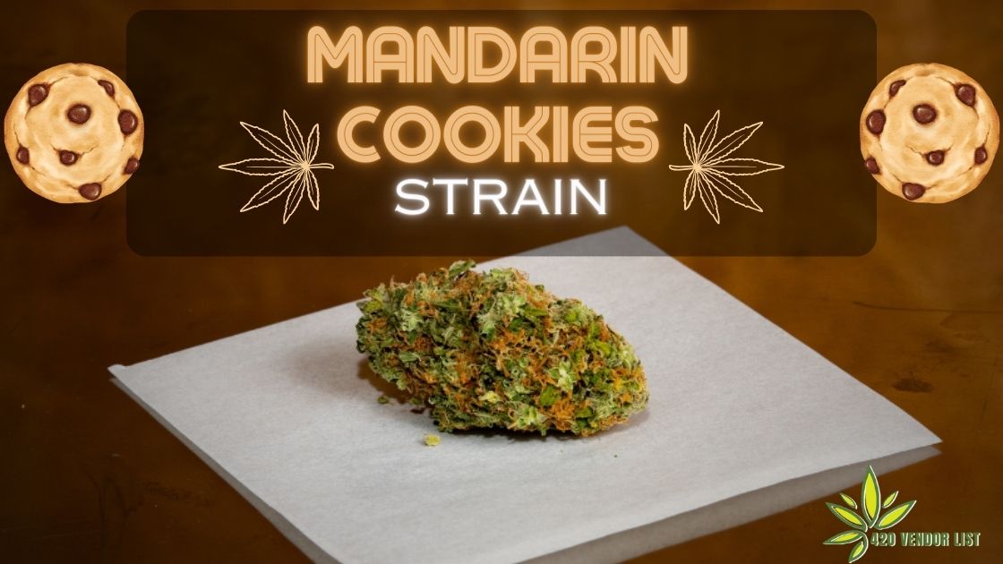 What is the Mandarin Cookies Strain? [Ultimate Strain Review]