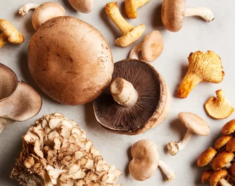 Buy Any Mushroom Edible and Receive Free 8th of Mushrooms