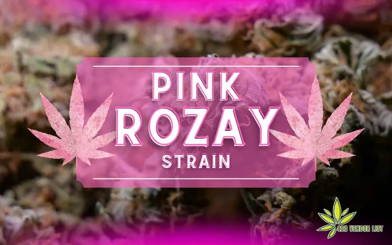 Pink Rozay Strain