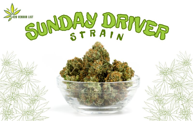 The Sunday Driver Strain