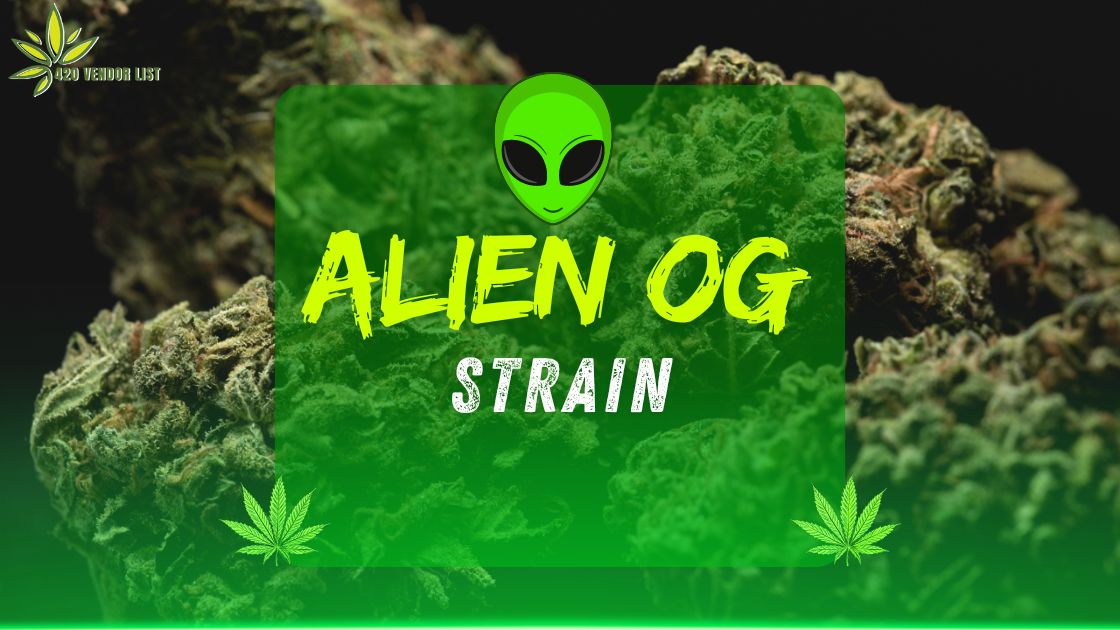 The Alien OG Strain Experience: From Earth to Beyond – Everything You Need to Know