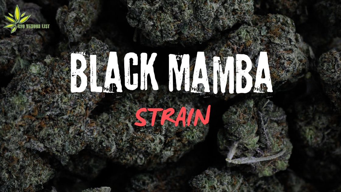 Read This Before You Try The Black Mamba Strain