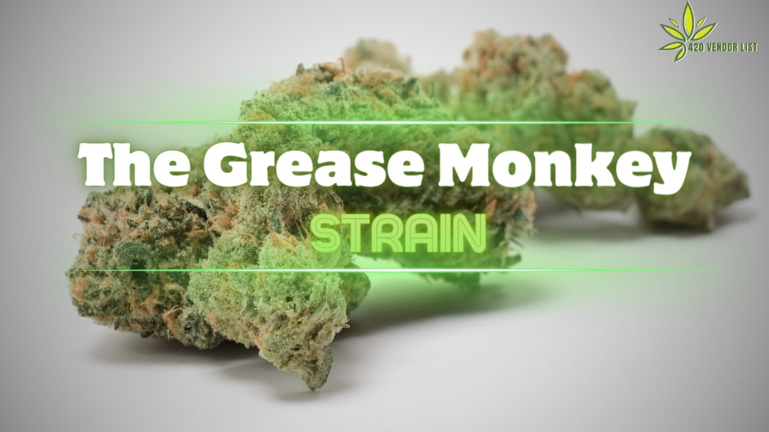 How Good Is The Grease Monkey Strain?