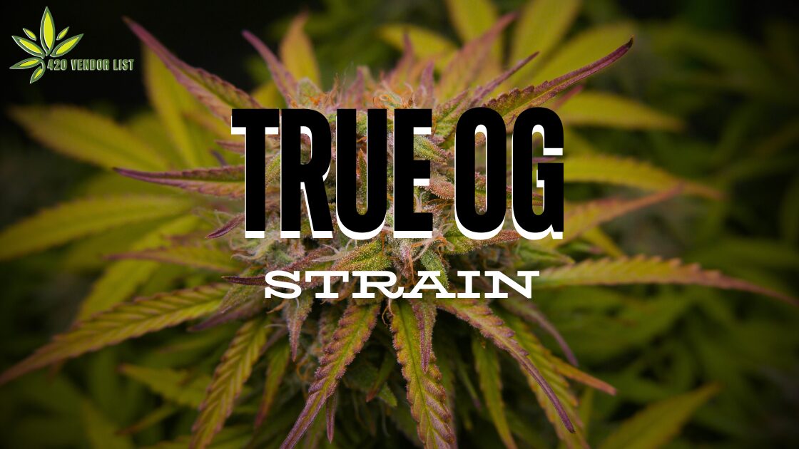 True OG Strain Review: A True Indica