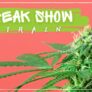 strange-looking-marijuana-get-to-know-the-freak-show-strain