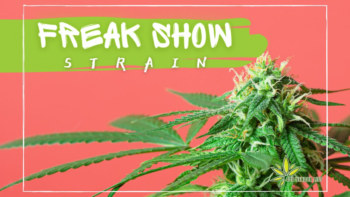Strange-Looking Marijuana? Get to Know the Freak Show Strain
